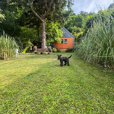 Franz - An Der Elbe, Mit Grossem Garten * Pirna