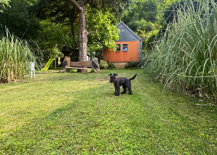 Franz - An Der Elbe, Mit Großem Garten * Pirna